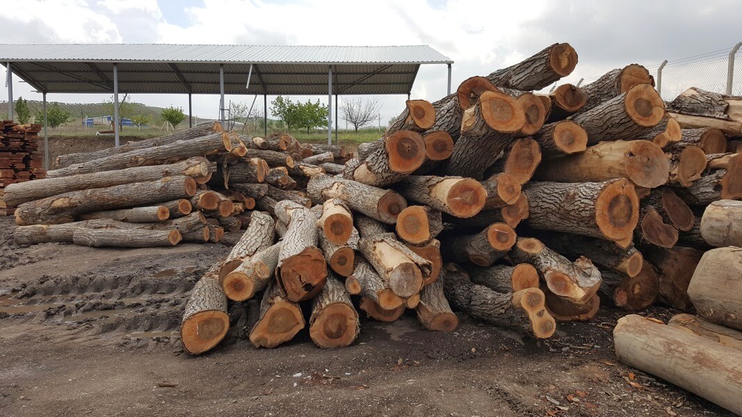 Ceviz Kereste Fiyatları Siteler Ankara Ceviz Kereste Fiyatları Siteler Ankara